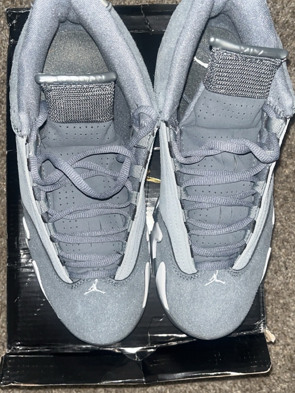 Jordan Men’s Low-Top Sneakers in Gray